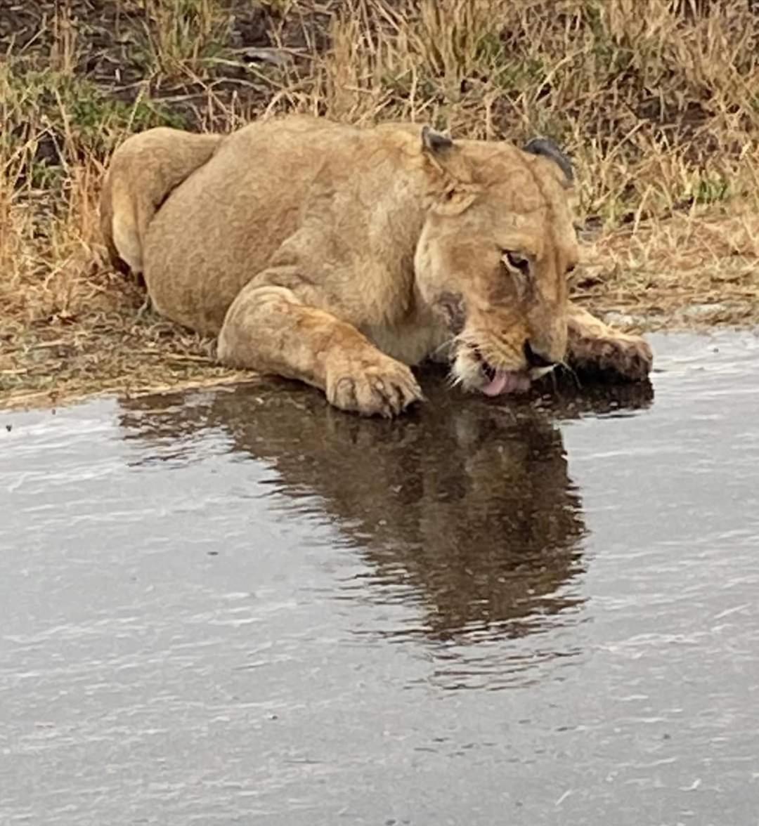 Overnight Stop Before Kruger National Park Phalaborwa Εξωτερικό φωτογραφία