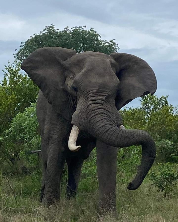 Overnight Stop Before Kruger National Park Phalaborwa Εξωτερικό φωτογραφία